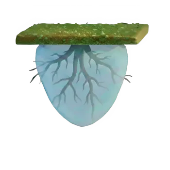 Bulbo húmedo de riego por goteo en suelo franco: forma equilibrada