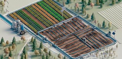 Optimización del riego agrícola: por qué regar más no siempre es regar mejor